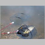 Purkarec  27.10.2008  7-39-47.JPG